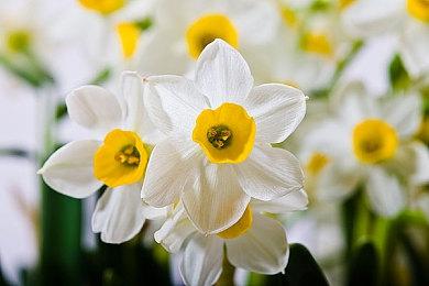 《优米雅的炼金工房》M站媒体评分解禁 PC均分80分